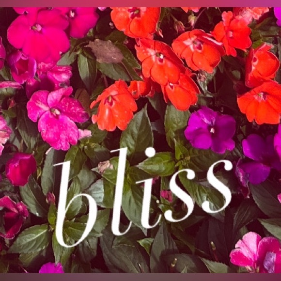 _itsbliss